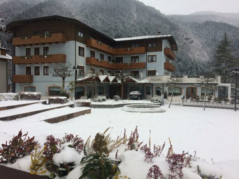 Hotel Ariston - Molveno