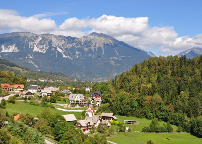 Hotel Triglav