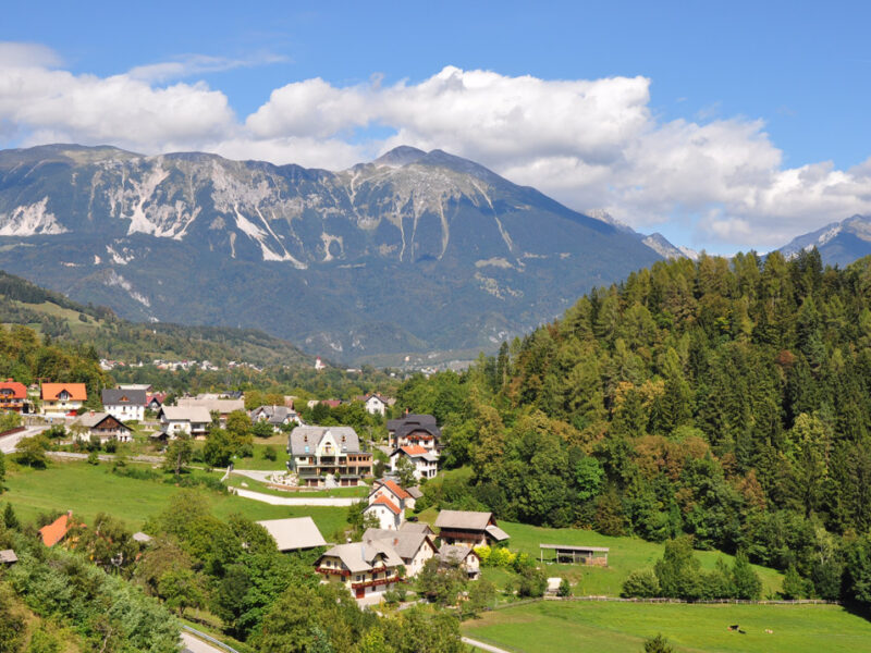 Hotel Triglav