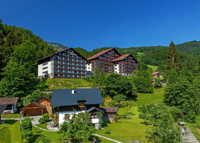 Alpenhotel Dachstein