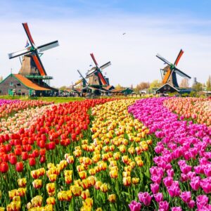 Květinový Park Keukenhof S Návštěvou Amsterdamu