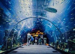 Tropicarium a ZOO Budapešť