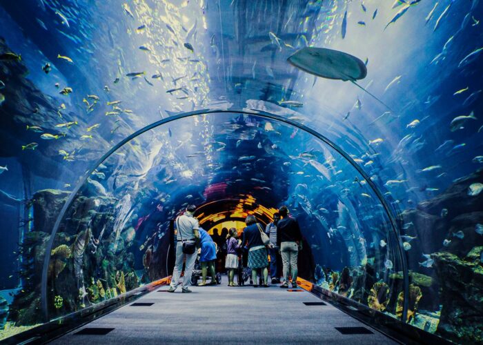 Tropicarium A ZOO Budapešť