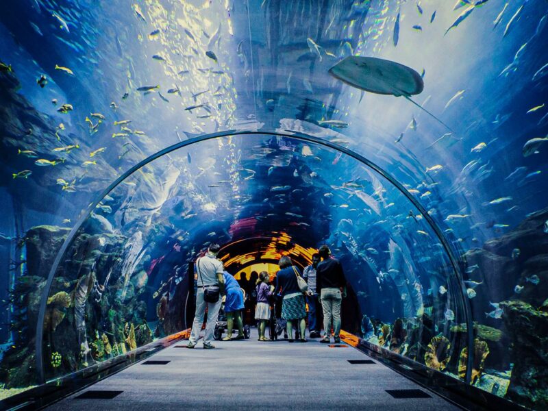 Tropicarium A ZOO Budapešť