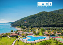 Kemp Oliva
