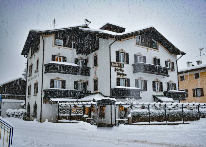 Hotel Stella Alpina