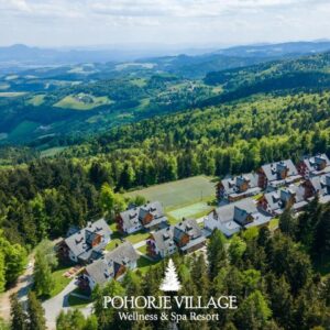 Hotel Forest Videc***