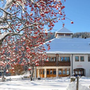 Hotel Corno Bianco**