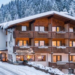 Hotel Adler Carezza***