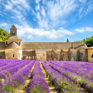 Levandulová Provence