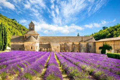 Levandulová Provence