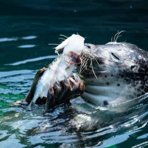 ZOO Wroclaw a Afrykarium